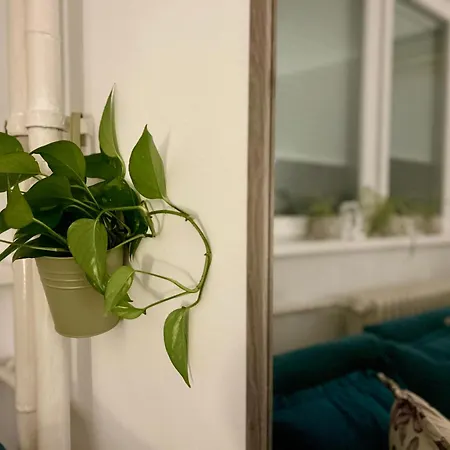 Surya Appartement